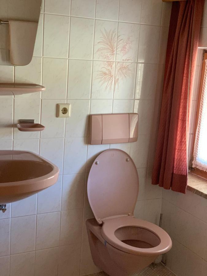 Birkenhof Appartement Leutasch Buitenkant foto